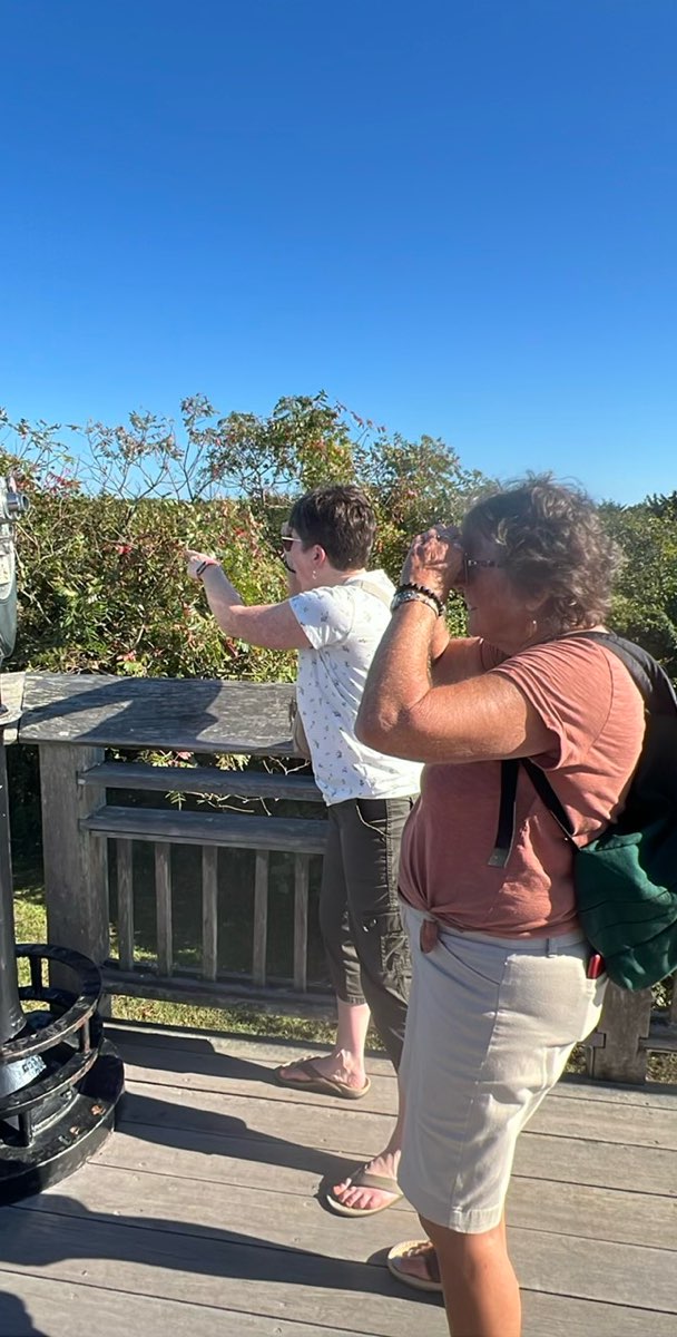 Foto della caccia al tesoro a Cape May Point