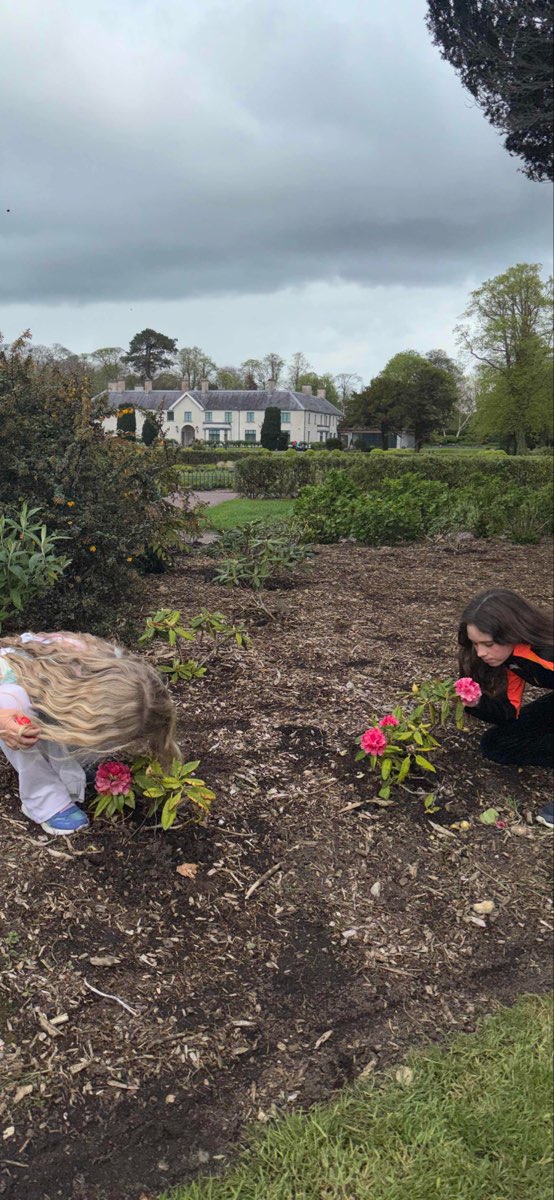 Killarney Scavenger Hunt scavenger hunt photos