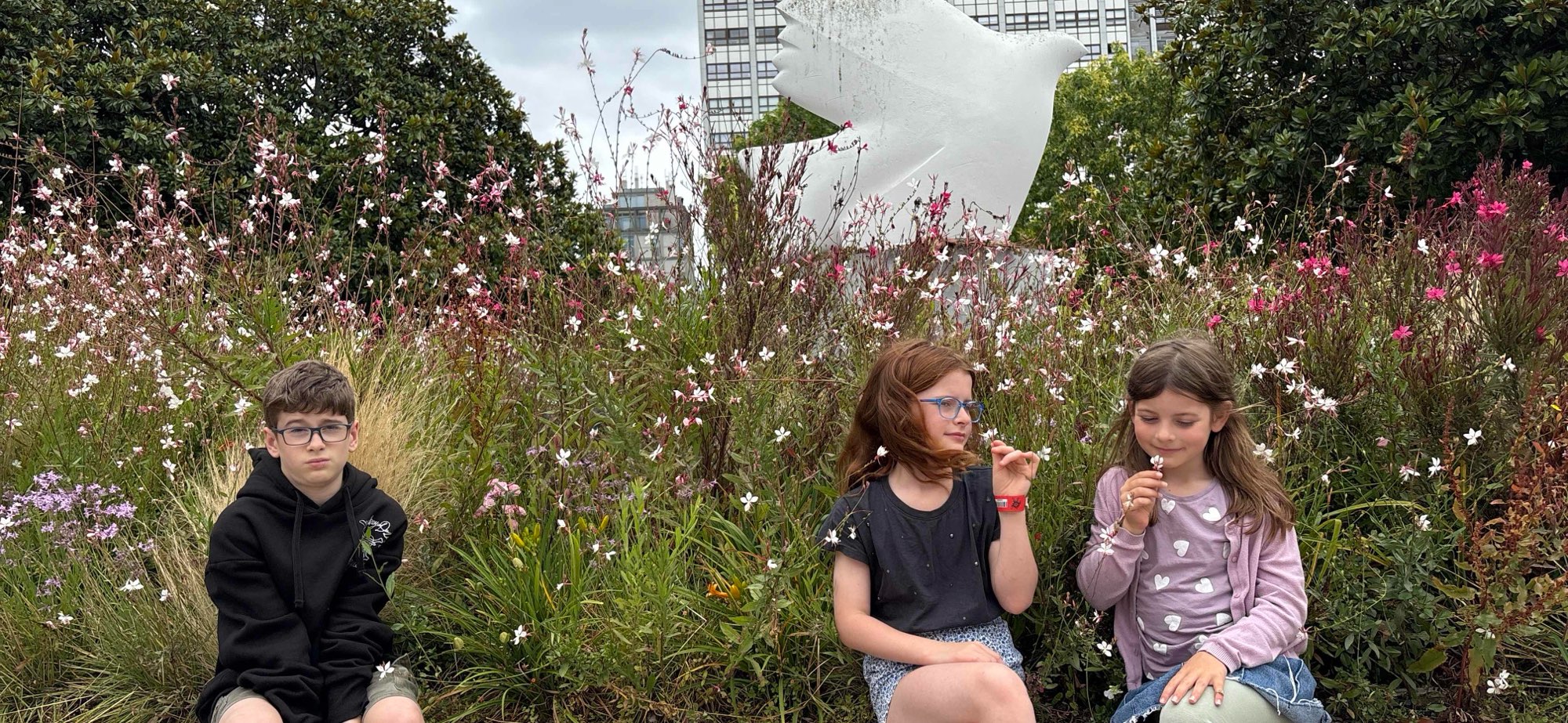 A Coruna Define Avı define avı fotoğrafları