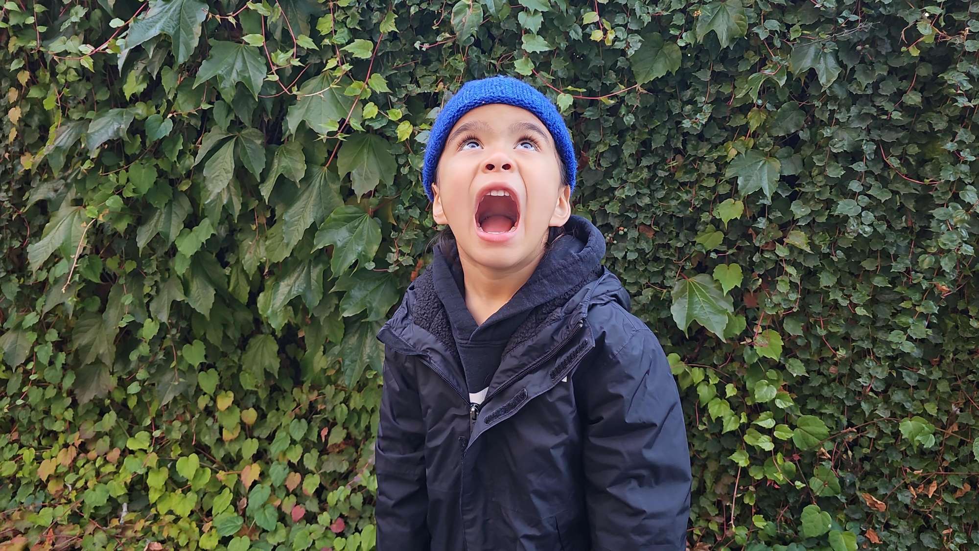 team building scavenger hunt