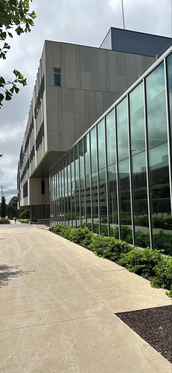 爱荷华大学寻宝游戏寻宝照片