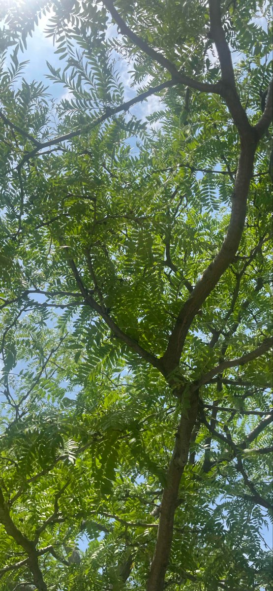 Erie Scavenger Hunt scavenger hunt photos