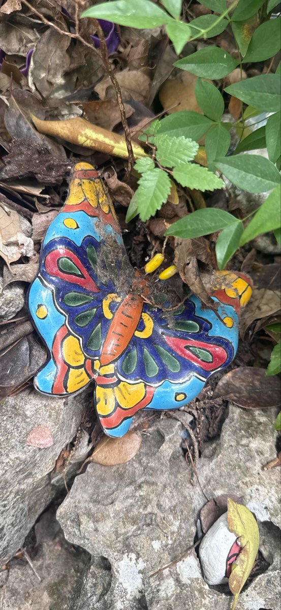 Austin Texas Scavenger Hunt scavenger hunt photos