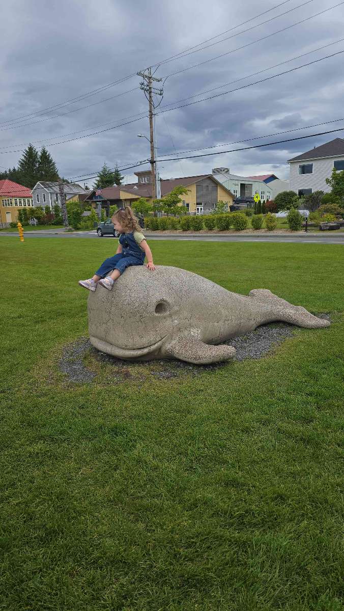 Fotos fra Sitka Scavenger Hunt