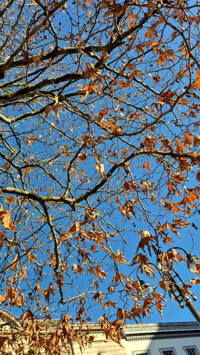 &kcy;&vcy;&iecy;&scy;&tcy; &dcy;&lcy;&yacy; &tcy;&icy;&mcy;&bcy;&icy;&lcy;&dcy;&icy;&ncy;&gcy;&acy;