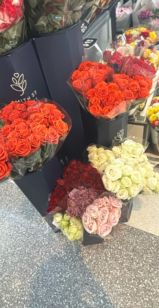 Canberra Scavenger Hunt scavenger hunt photos