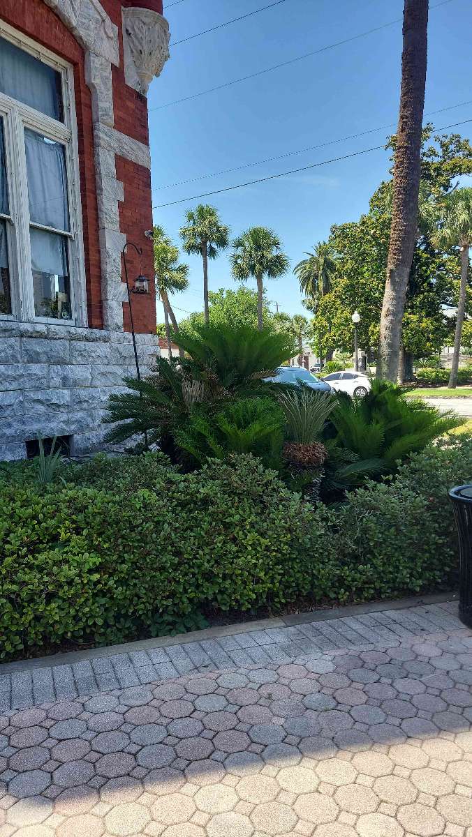 صور سفاري برونزويك جورجيا