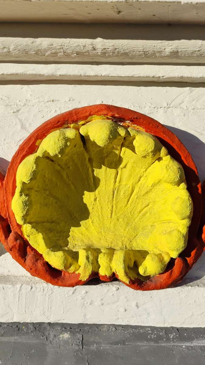 후숨 스캐빈저 헌트 스캐빈저 헌트 사진