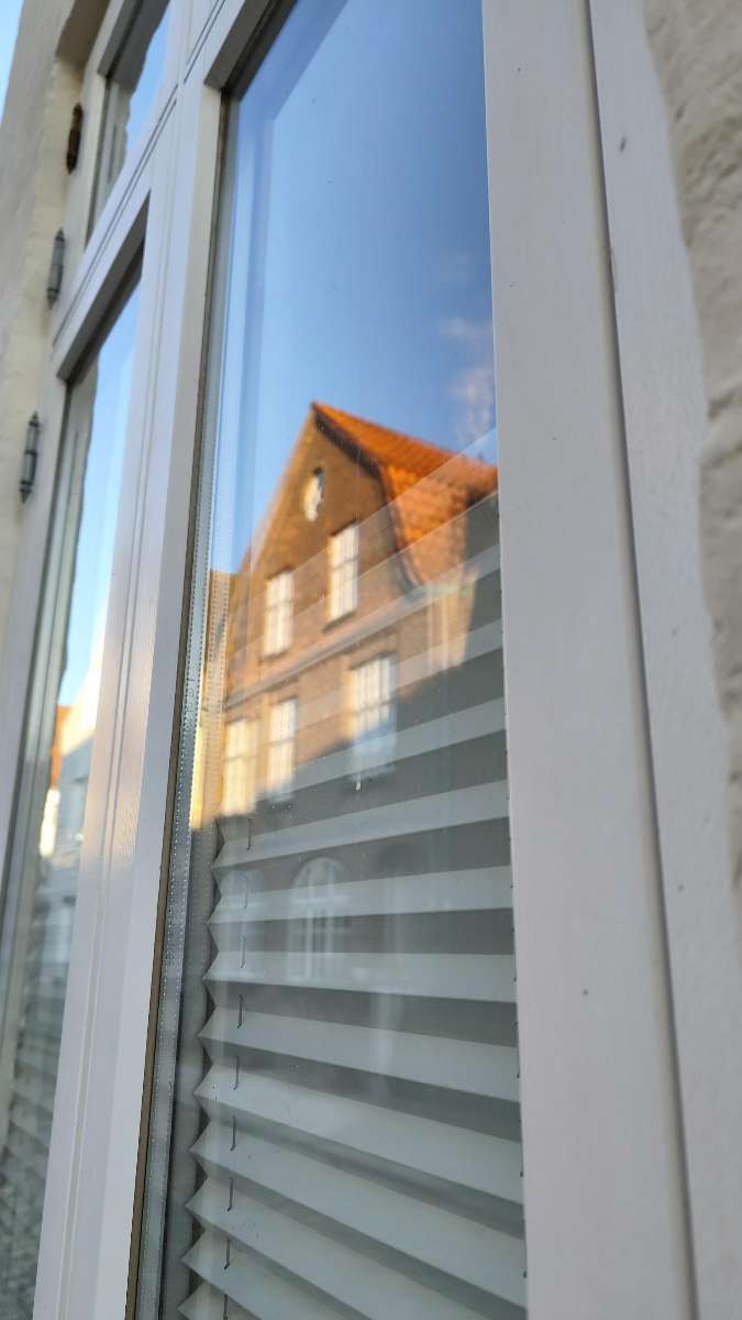 후숨 스캐빈저 헌트 스캐빈저 헌트 사진