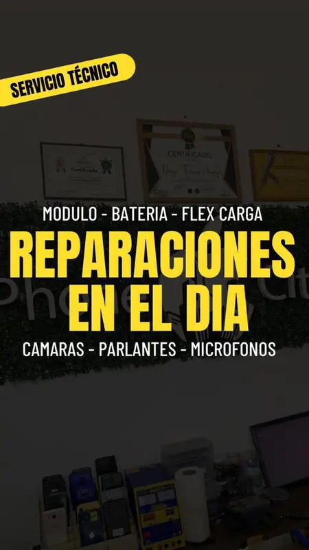 Servicio Tecnico especializado