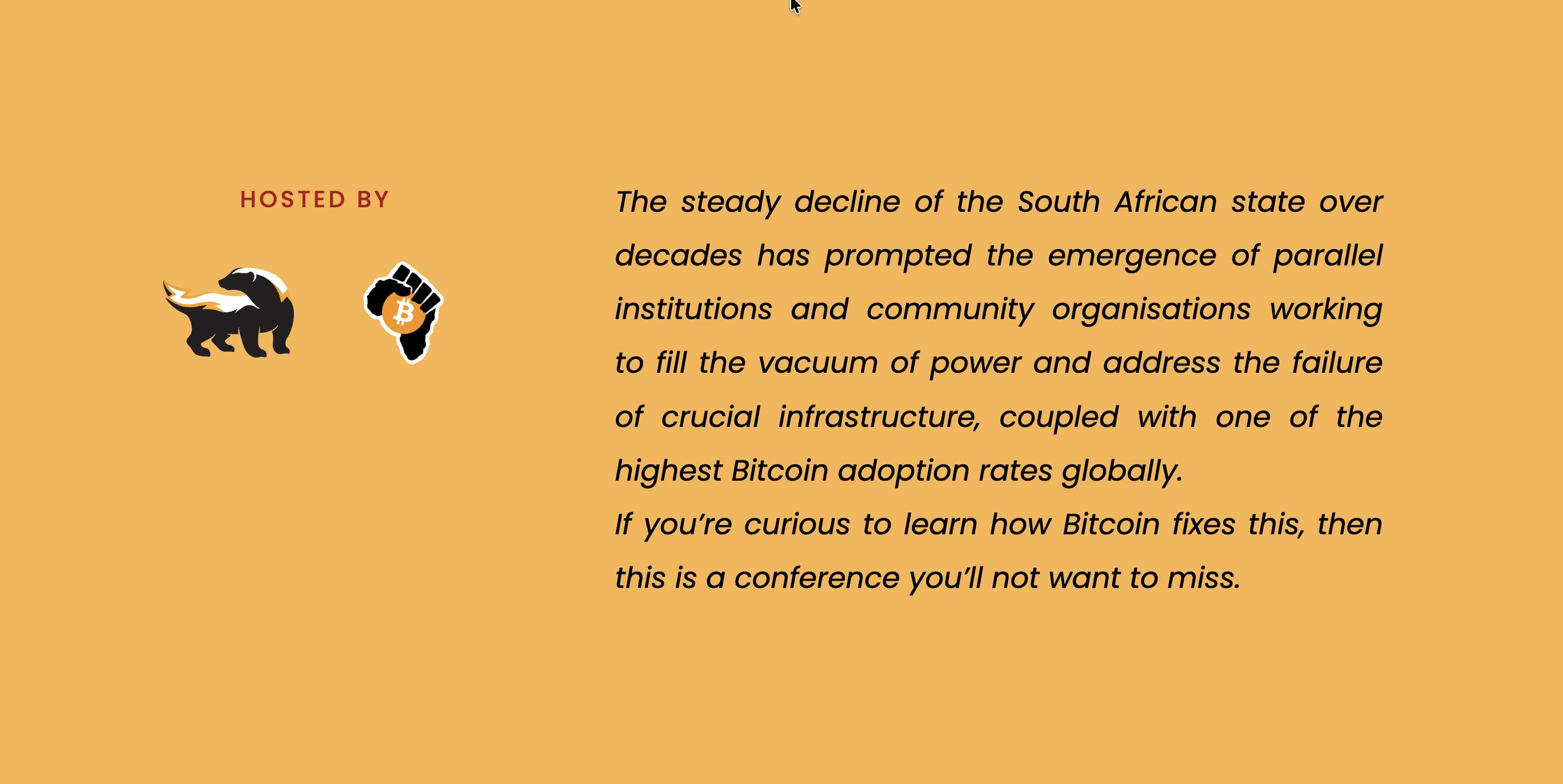 MoneyBadger Co-Hosts Adopting Bitcoin Cape Town 2027 — photo