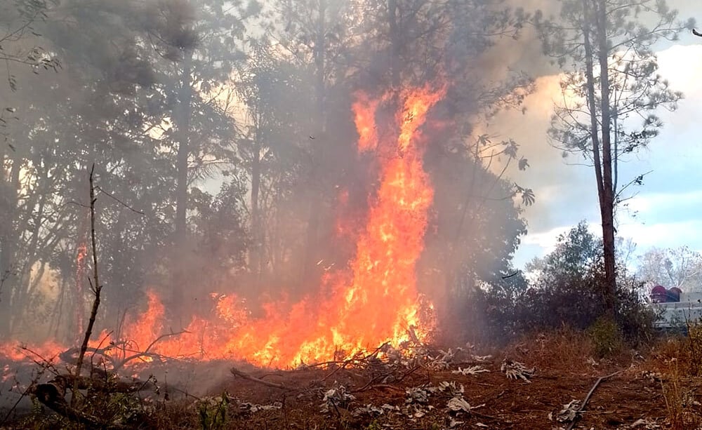 Alertan sobre el riesgo extremo de incendios en Misiones