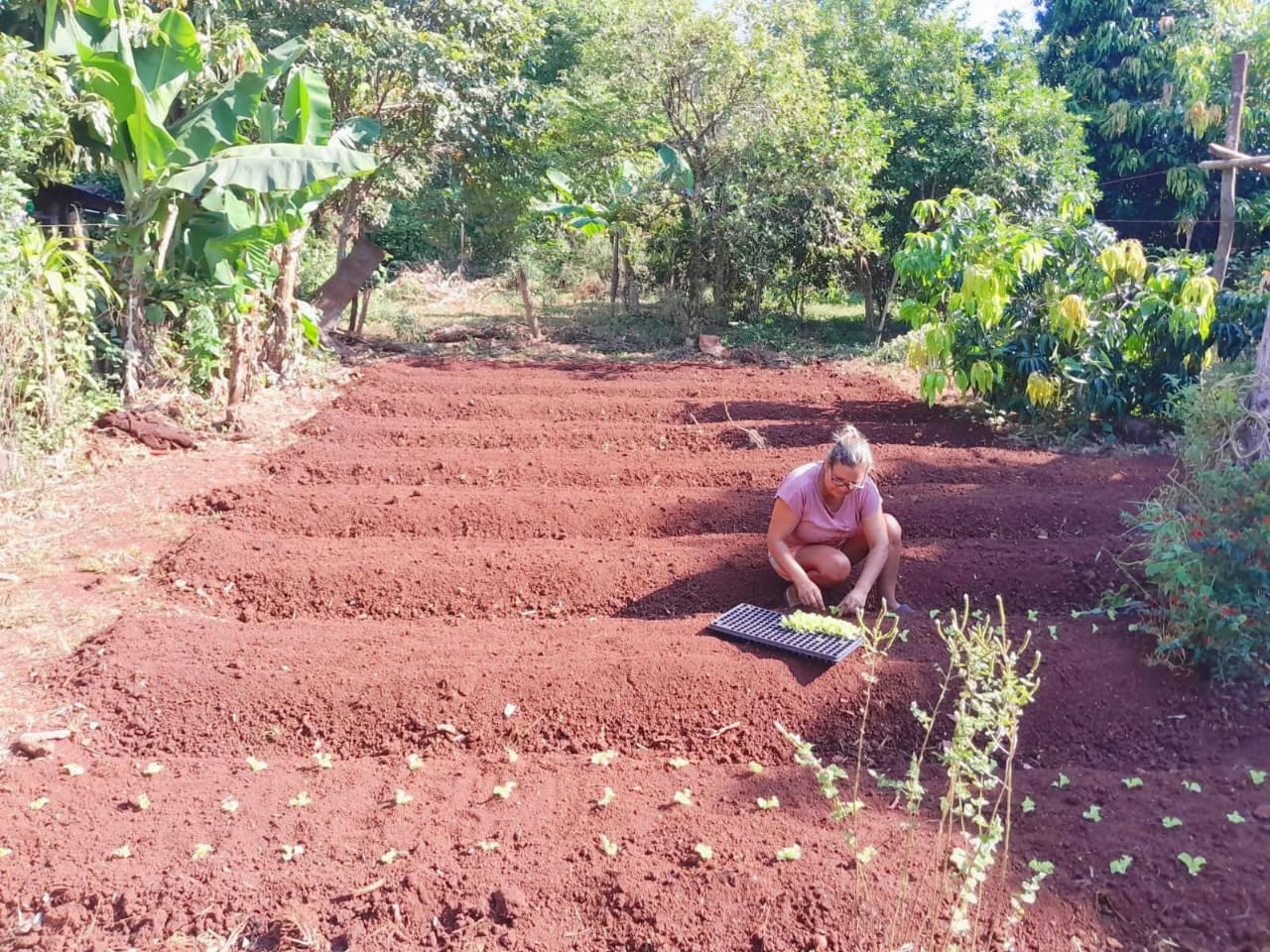 Avanza el programa de Huertas Urbanas en Eldorado