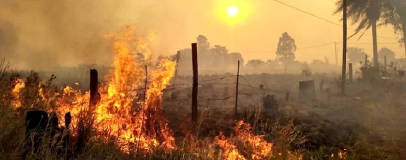 Misiones declaró la Emergencia Ígnea