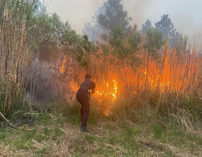 Alerta comunitaria por peligro de incendios 