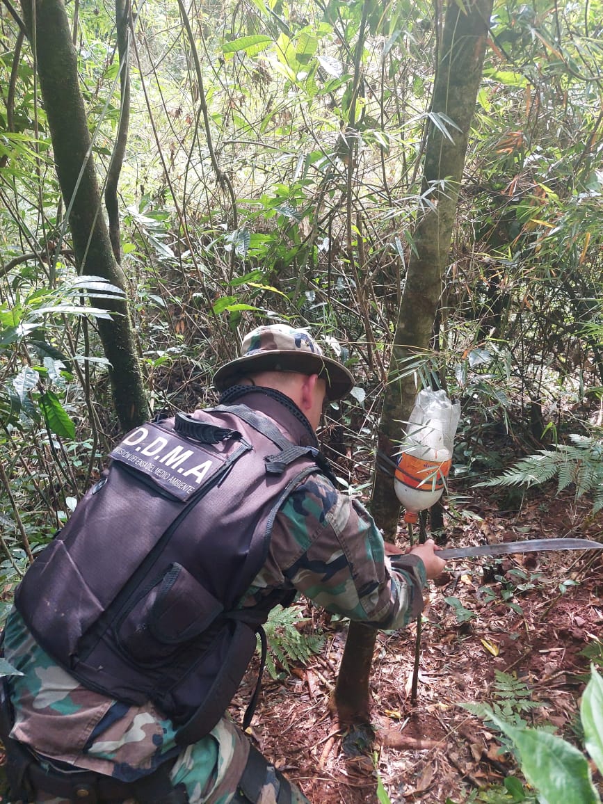 Policías ambientales desmantelaron campamentos de caza ilegal en San Vicente