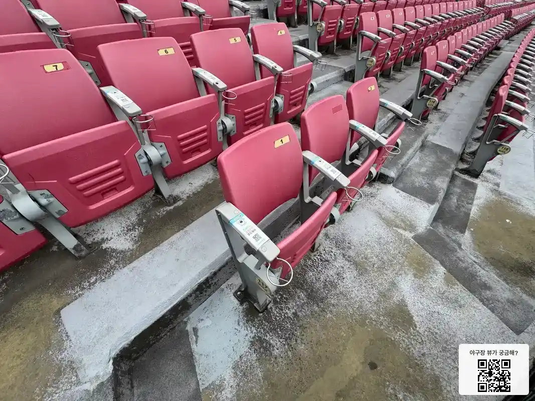 117블록 1번 좌석 뷰 1