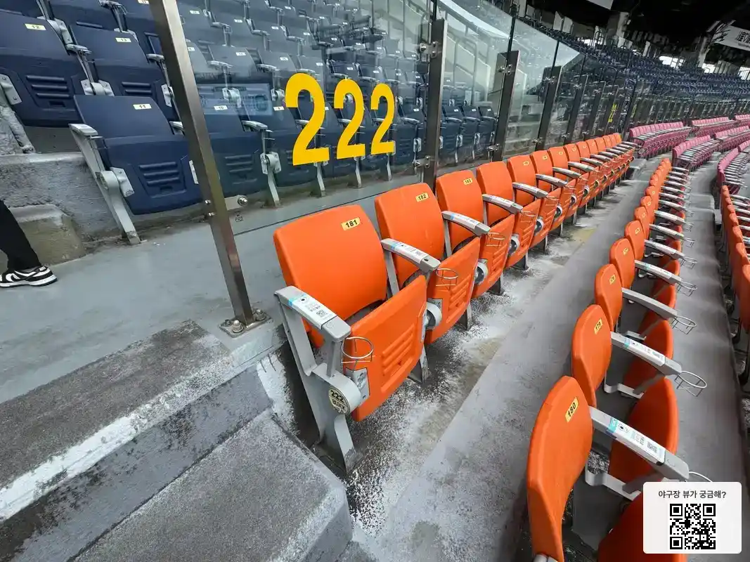 222블록 181번 좌석 뷰 1