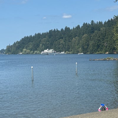 photo of Seward Park