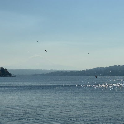 photo of Seward Park