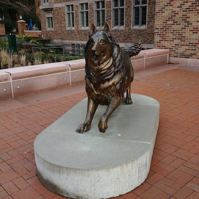 photo of Husky Union Building (HUB)