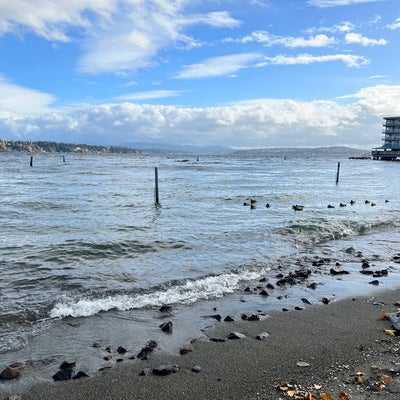 photo of Madison Park Beach