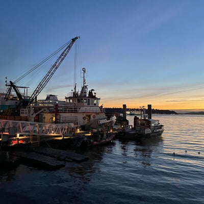 photo of Ivar's Acres of Clams