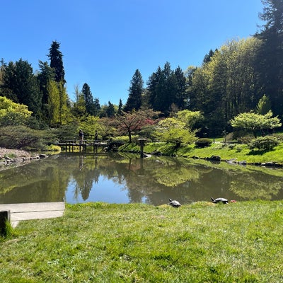 photo of Japanese Gardens (Seattle Japanese Garden)