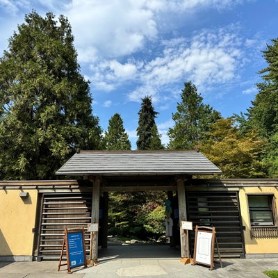 photo of Japanese Gardens (Seattle Japanese Garden)