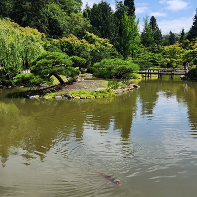 photo of Japanese Gardens (Seattle Japanese Garden)