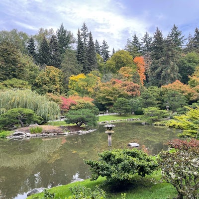 photo of Japanese Gardens (Seattle Japanese Garden)