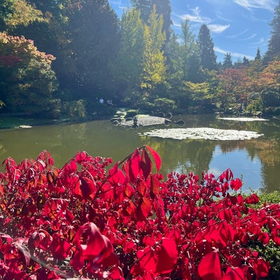 photo of Japanese Gardens (Seattle Japanese Garden)