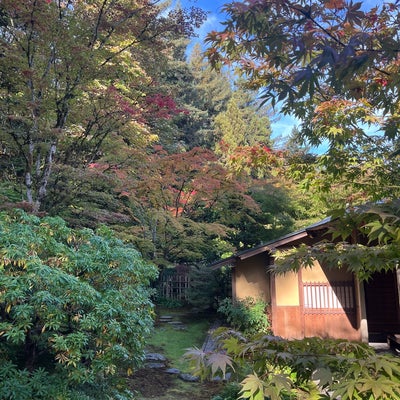 photo of Japanese Gardens (Seattle Japanese Garden)