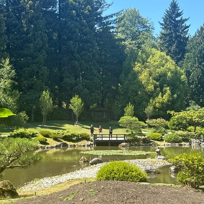 photo of Japanese Gardens (Seattle Japanese Garden)