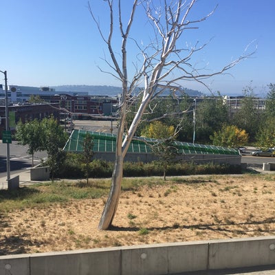 photo of Olympic Sculpture Park