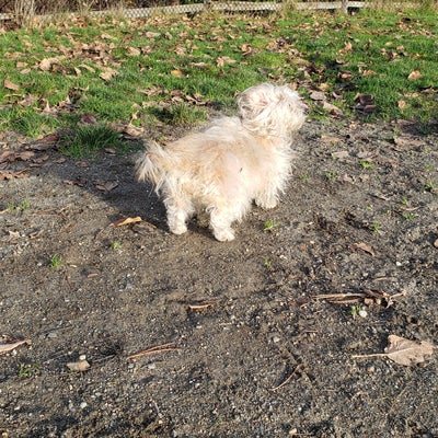 photo of Luther Burbank Park