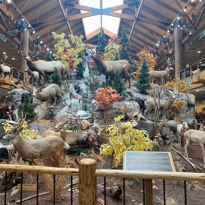 photo of Cabela's