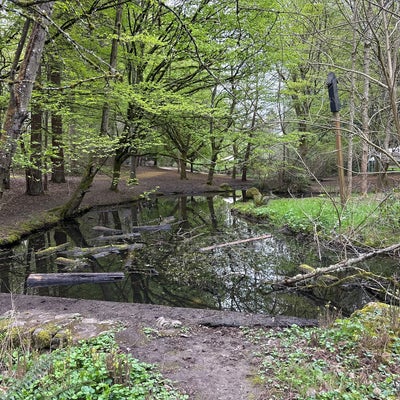 photo of Camp Long