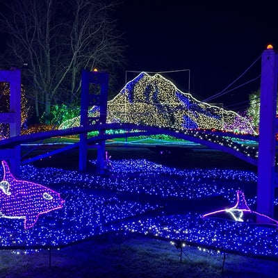 photo of Point Defiance Zoo & Aquarium