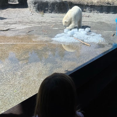 photo of Point Defiance Zoo & Aquarium