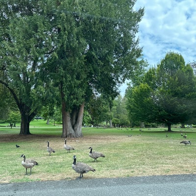 photo of Point Defiance Park