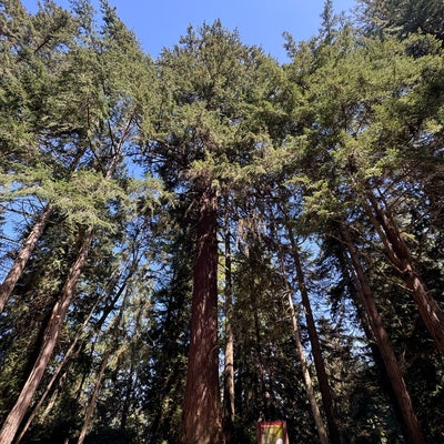 photo of Point Defiance Park