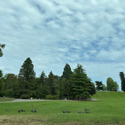 photo of Point Defiance Park