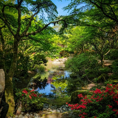 photo of Bellevue Botanical Garden