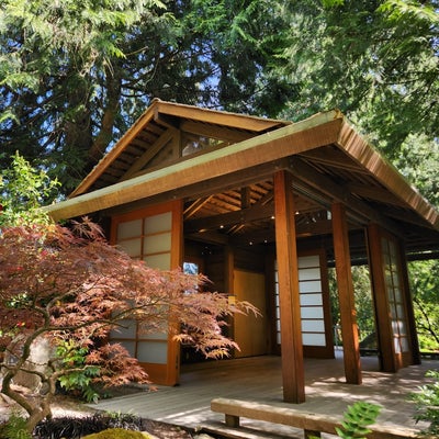 photo of Bellevue Botanical Garden