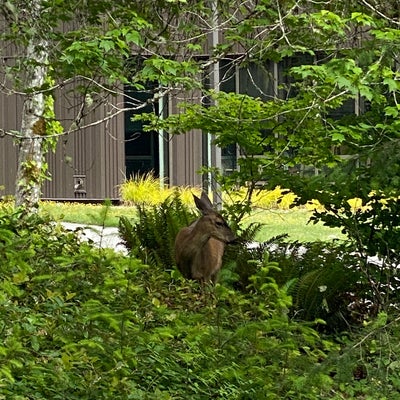 photo of The Evergreen State College