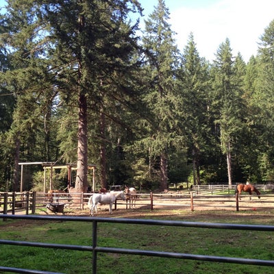 photo of Camp River Ranch