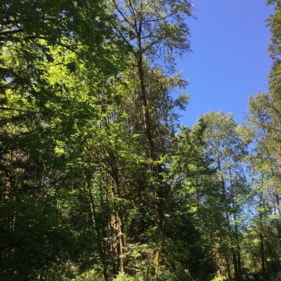 photo of Camp River Ranch