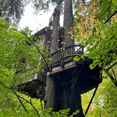 photo of Treehouse Point