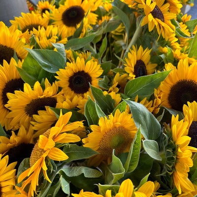 photo of Olympia Farmers Market